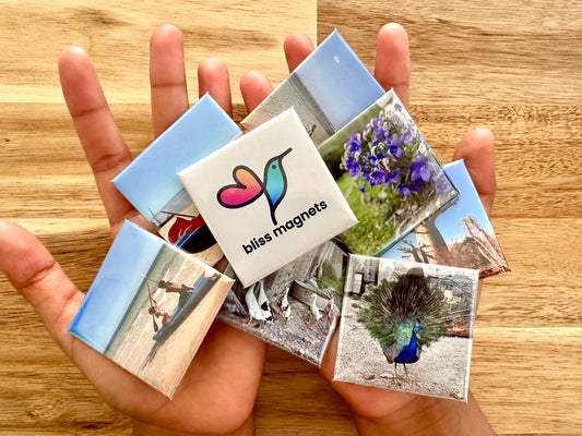 Set of 6 photo magnets
